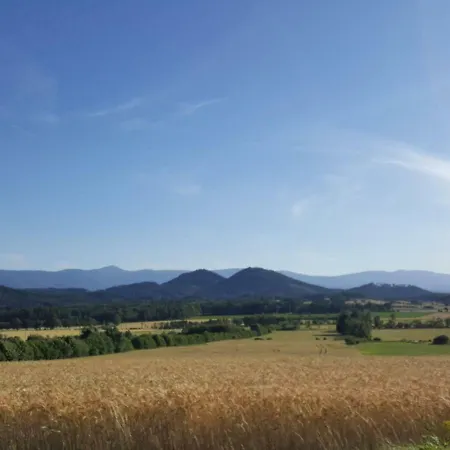 Authentic In A Polish Country House In A Quiet Region جانوفيتشي فيلكيه